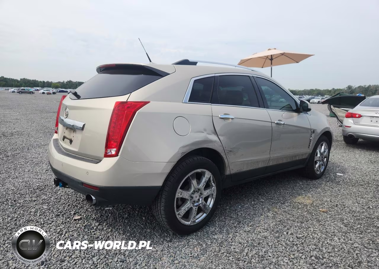 2010 Cadillac Srx Premium Collection VIN:3GYFNCEYXAS590238 - 3