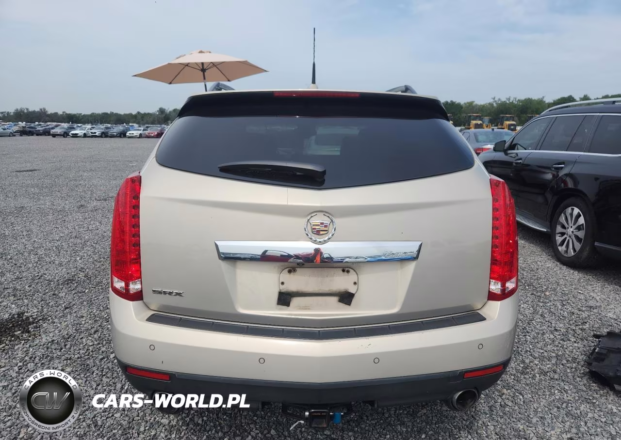2010 Cadillac Srx Premium Collection VIN:3GYFNCEYXAS590238 - 6