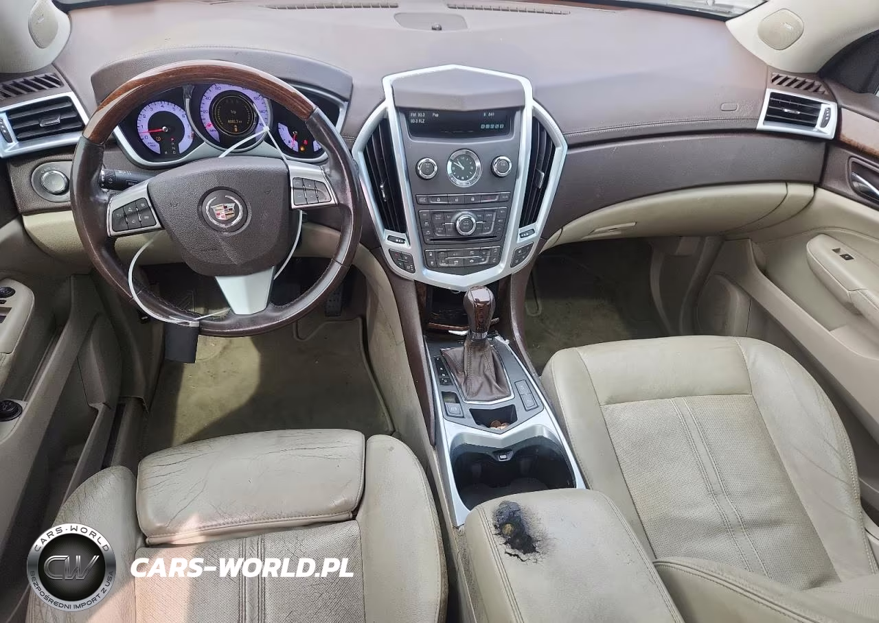 2010 Cadillac Srx Premium Collection VIN:3GYFNCEYXAS590238 - 8