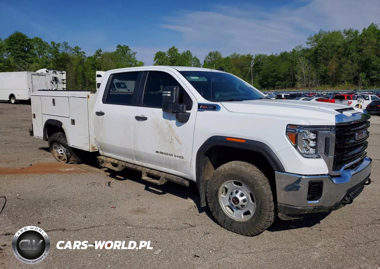 2020 GMC Sierra K2500 Heavy Duty VIN:1GD19LE74LF242448 - 4