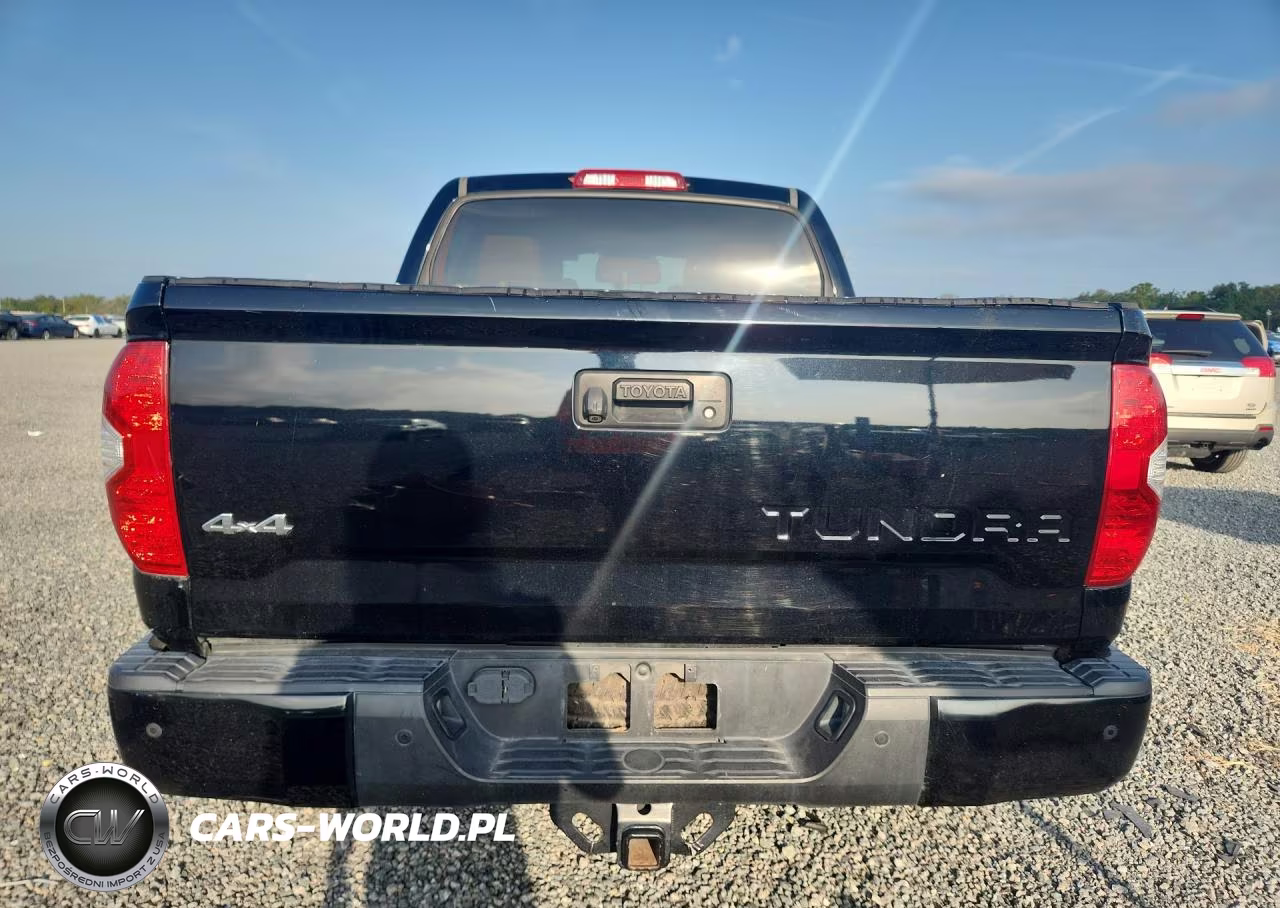 2018 Toyota Tundra 1794 Edition VIN:5TFAW5F12JX686115 - 6