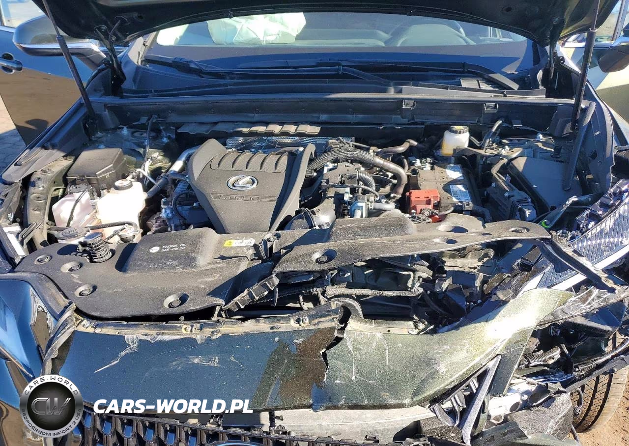 2023 Lexus Nx 350 VIN:2T2GGCEZ3PC025084 - 12