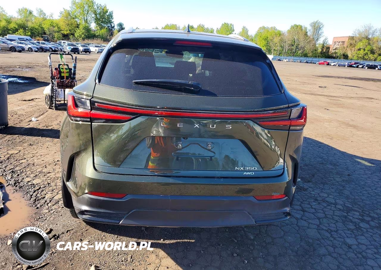 2023 Lexus Nx 350 VIN:2T2GGCEZ3PC025084 - 6