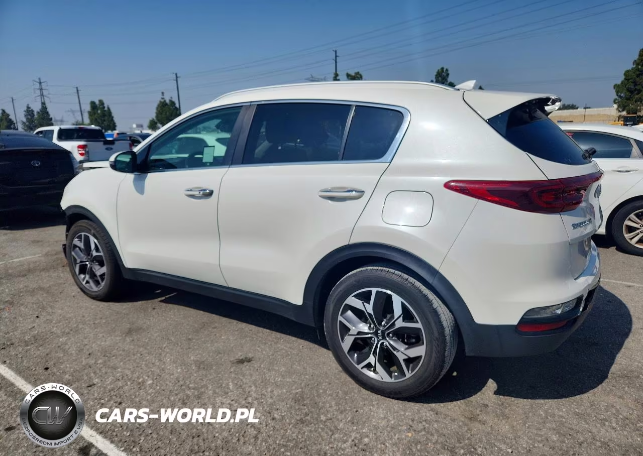 2020 Kia Sportage Ex VIN:KNDPN3AC7L7692490 - 2