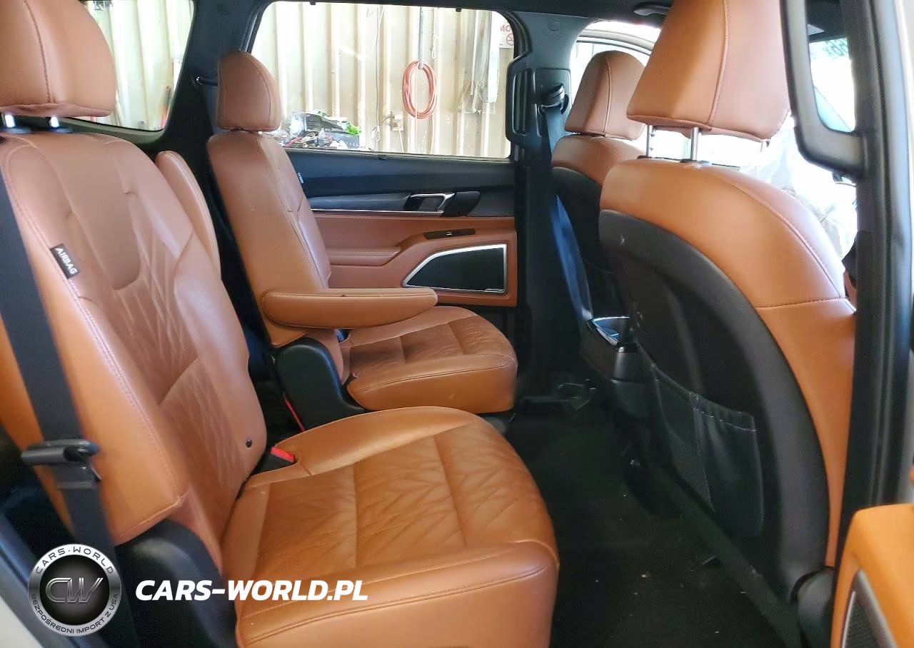 2024 Kia Telluride Ex X-Line VIN:5XYP3DGC8RG449947 - 11