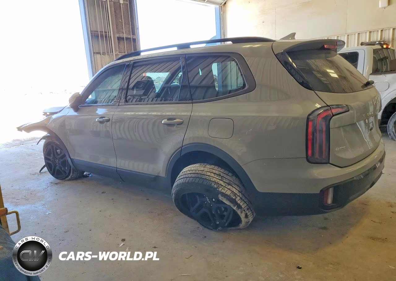 2024 Kia Telluride Ex X-Line VIN:5XYP3DGC8RG449947 - 2