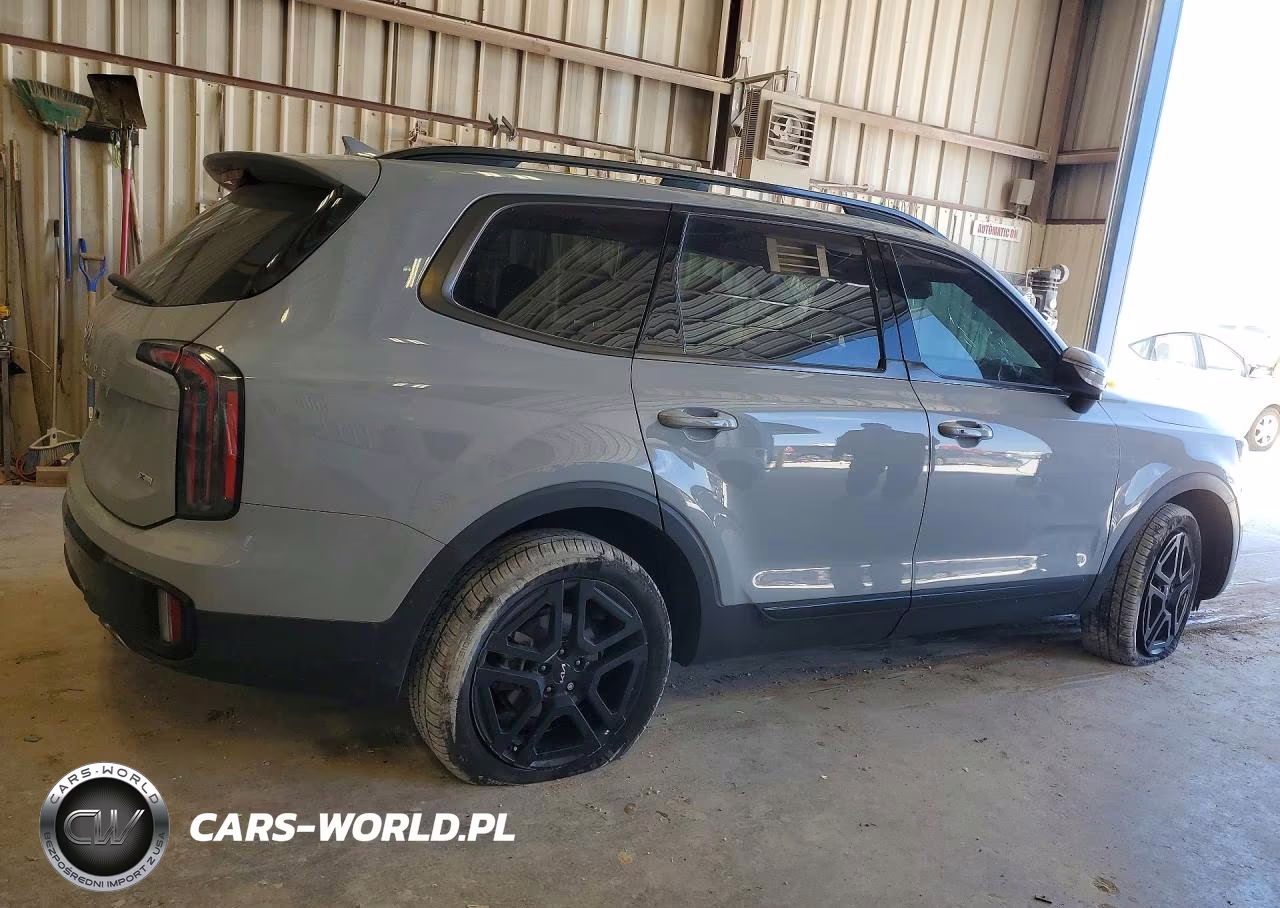 2024 Kia Telluride Ex X-Line VIN:5XYP3DGC8RG449947 - 3