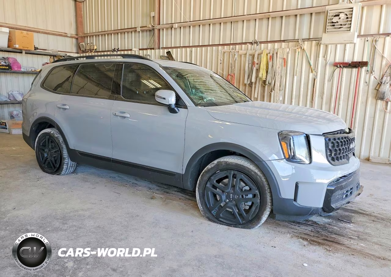 2024 Kia Telluride Ex X-Line VIN:5XYP3DGC8RG449947 - 4