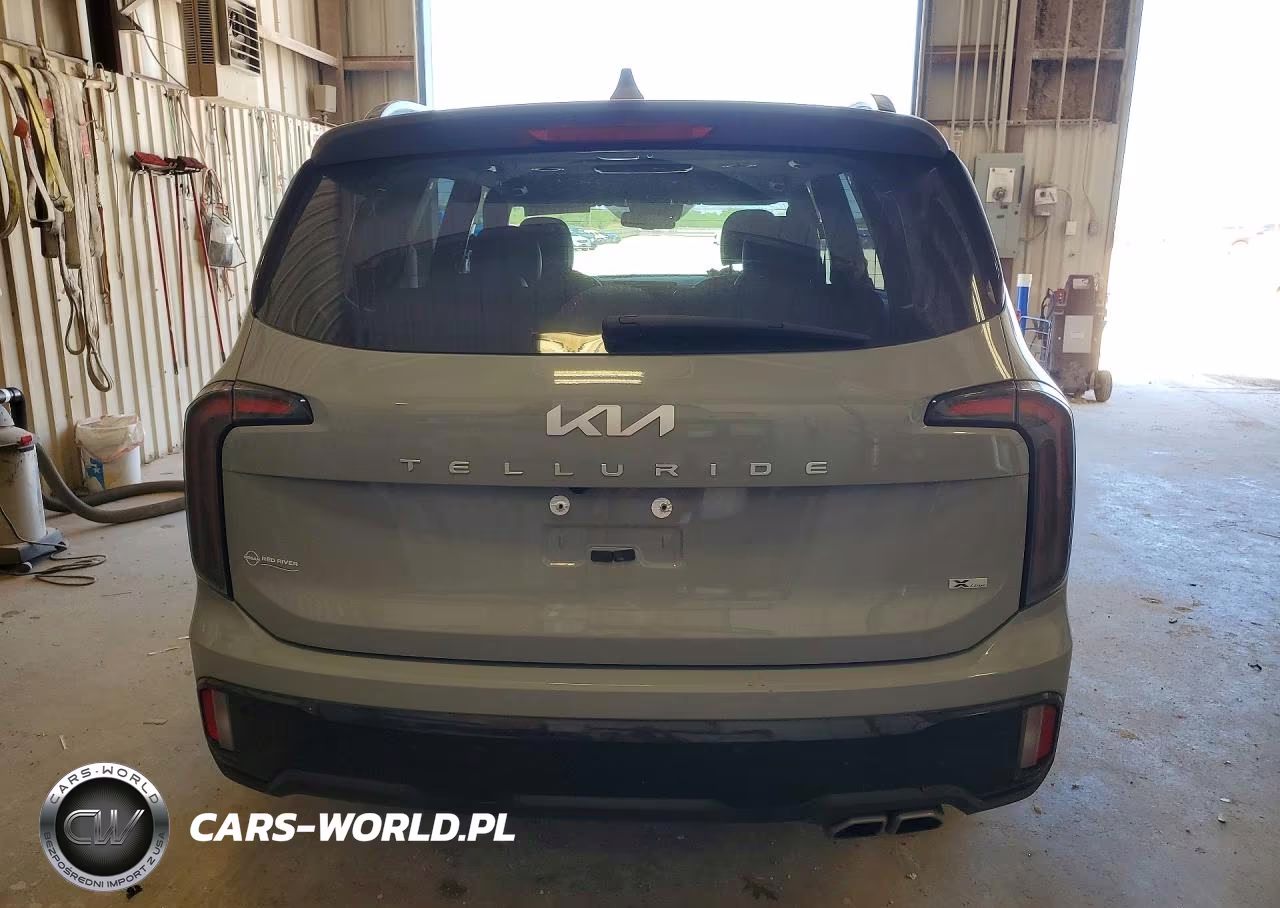 2024 Kia Telluride Ex X-Line VIN:5XYP3DGC8RG449947 - 6