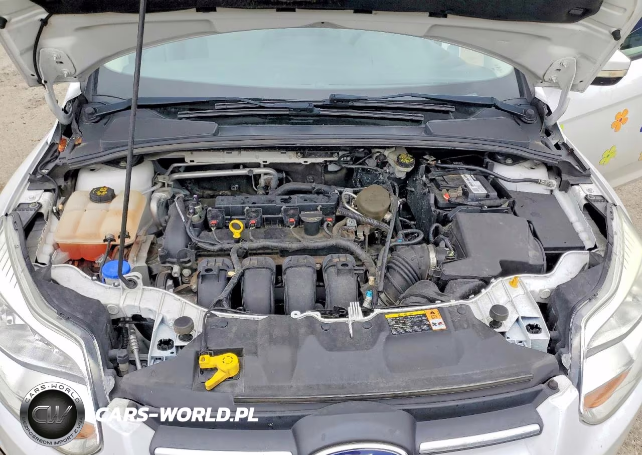 2014 Ford Focus Se VIN:1FADP3K22EL112470 - 12