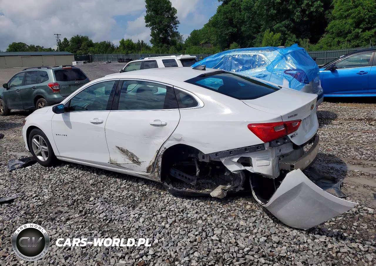 2021 Chevrolet Malibu Ls VIN:1G1ZB5ST8MF002855 - 2