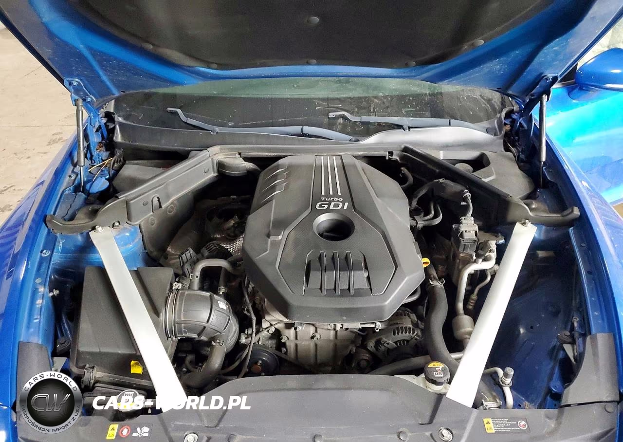 2019 Kia Stinger Base VIN:KNAE15LA0K6058093 - 11
