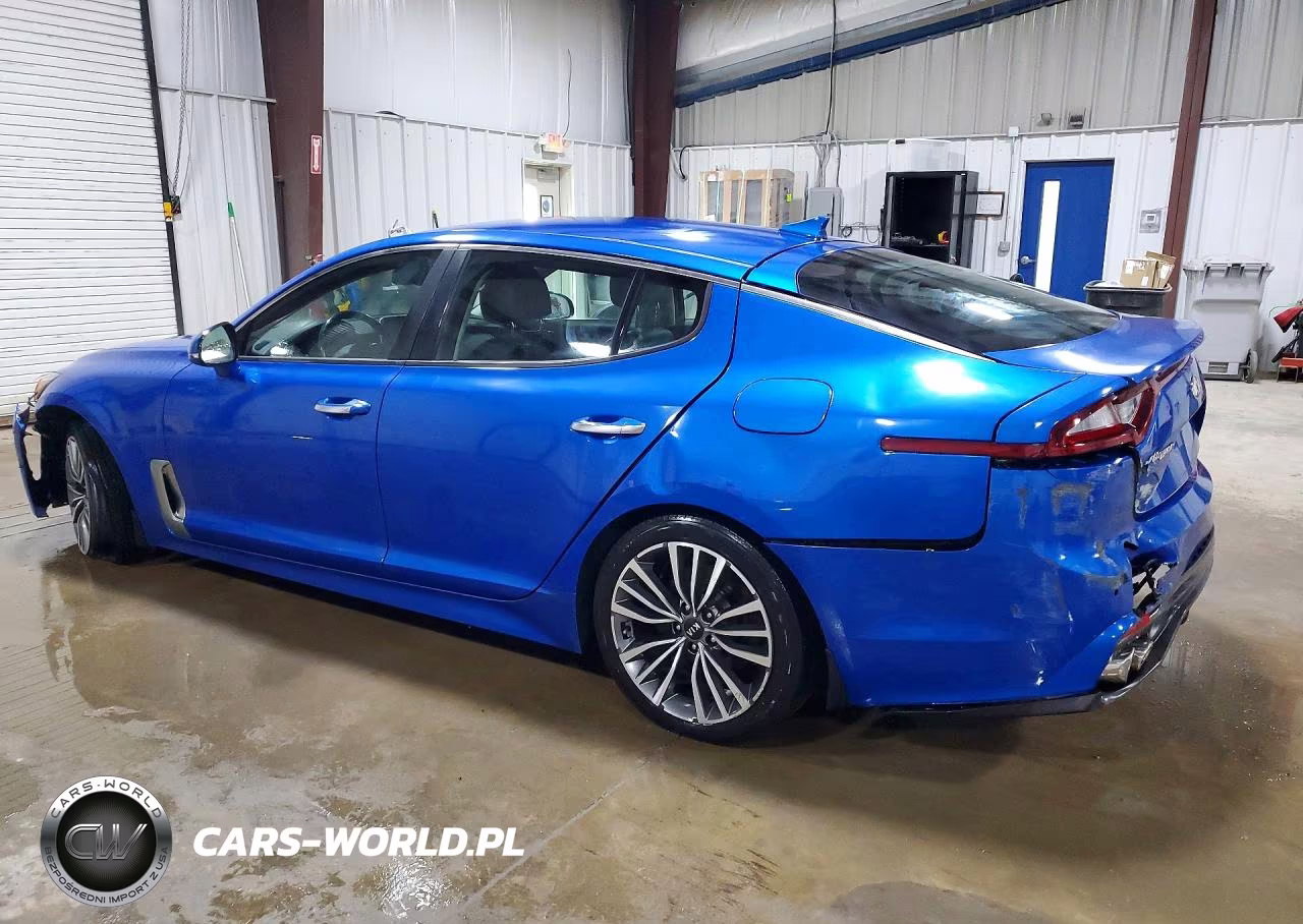 2019 Kia Stinger Base VIN:KNAE15LA0K6058093 - 2