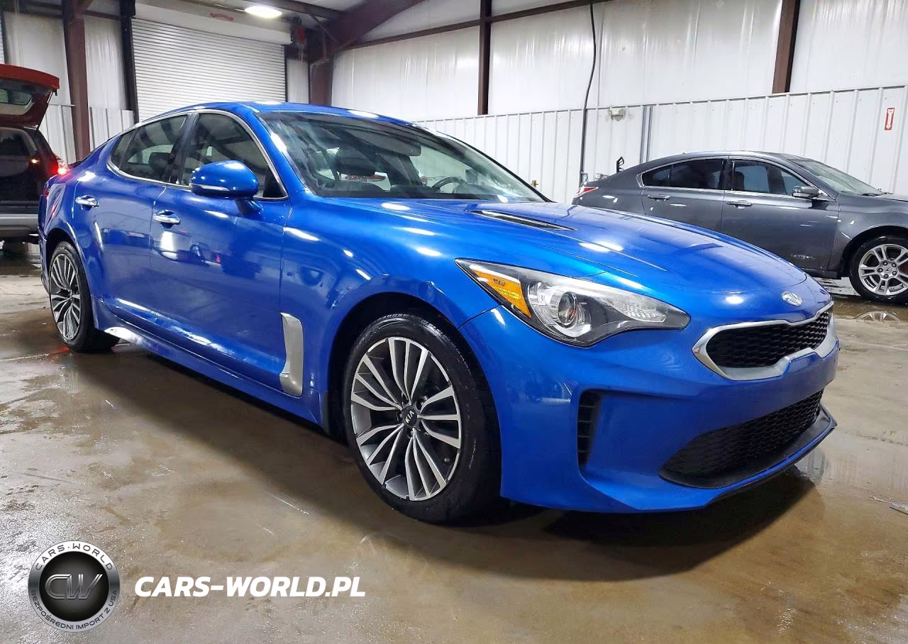 2019 Kia Stinger Base VIN:KNAE15LA0K6058093 - 4