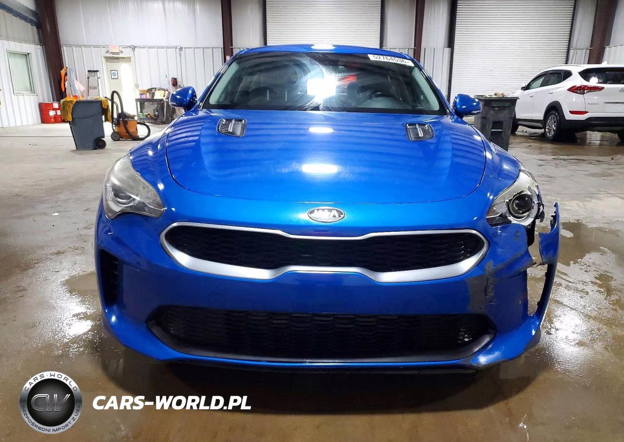 2019 Kia Stinger Base VIN:KNAE15LA0K6058093 - 5