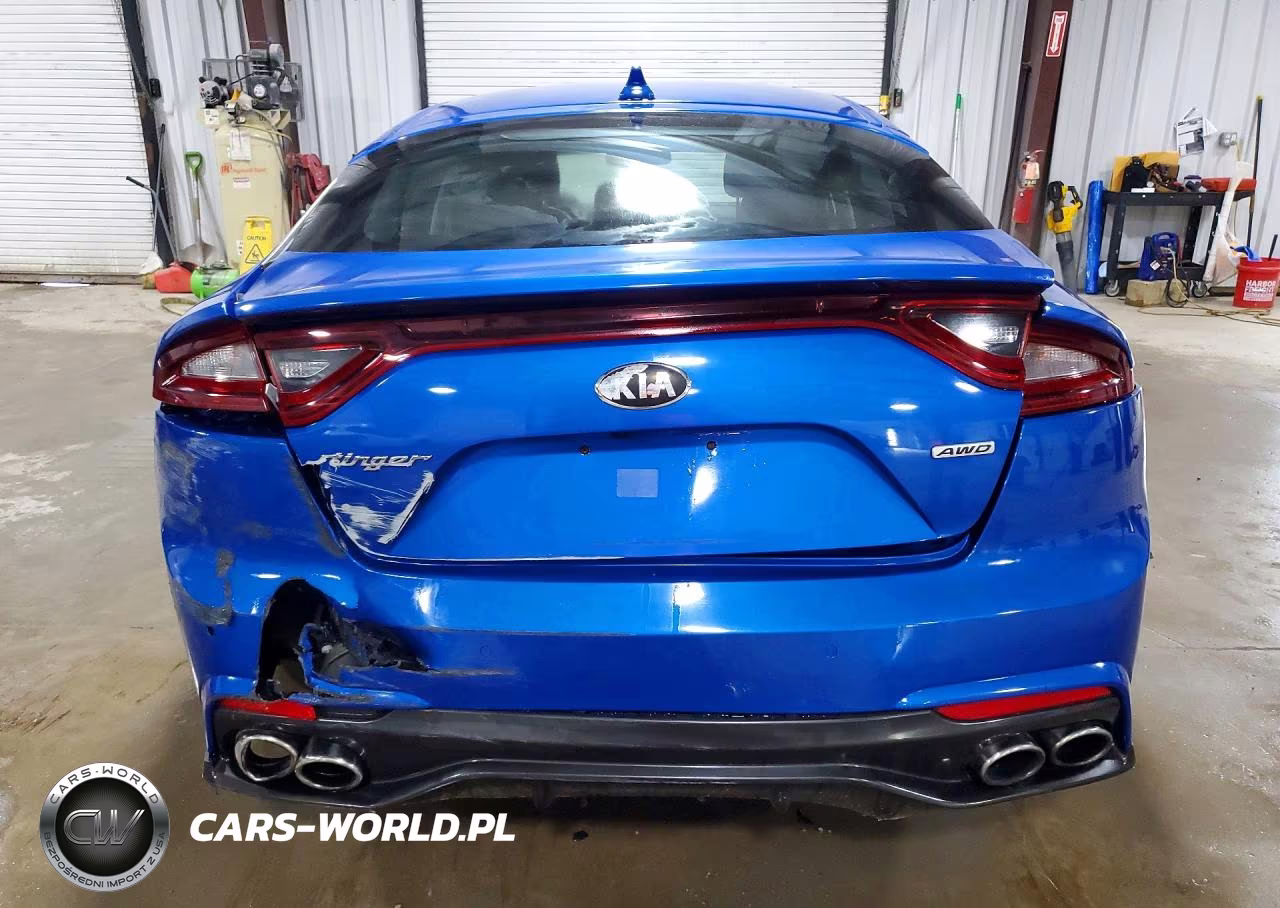 2019 Kia Stinger Base VIN:KNAE15LA0K6058093 - 6