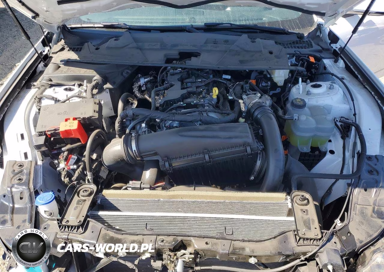 2025 Ford Mustang VIN:1FA6P8TH9S5109428 - 11