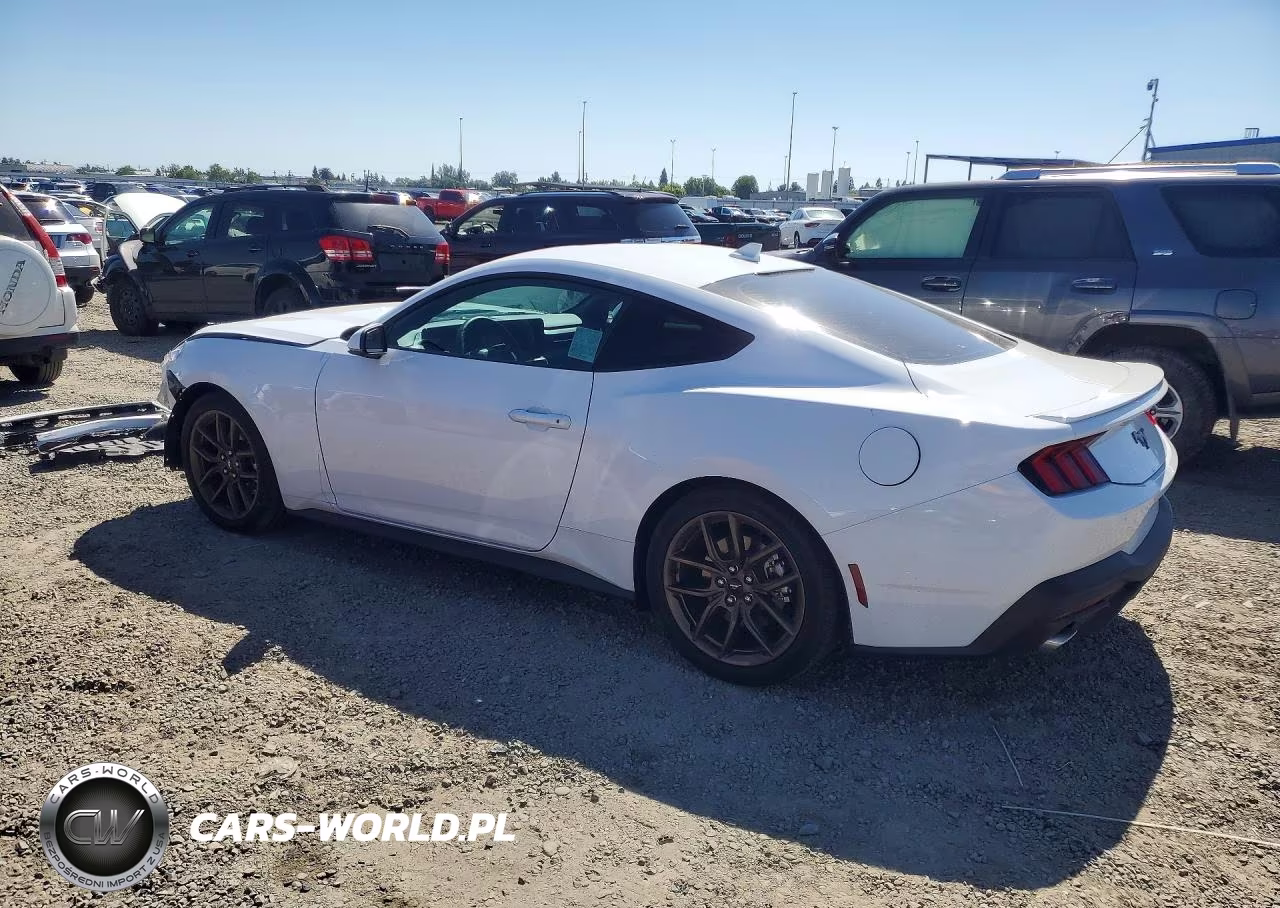 2025 Ford Mustang VIN:1FA6P8TH9S5109428 - 2