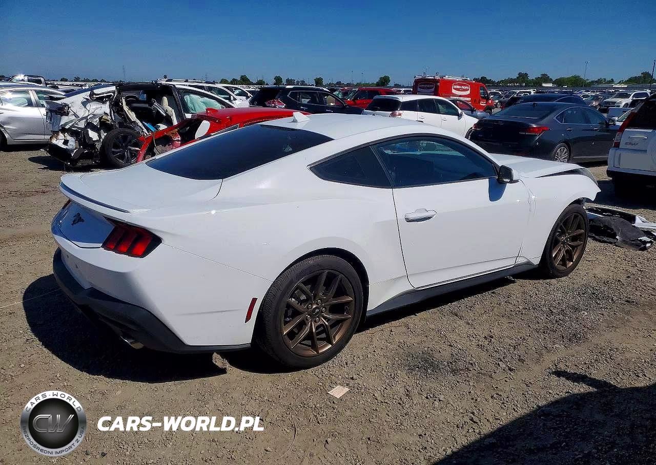 2025 Ford Mustang VIN:1FA6P8TH9S5109428 - 3