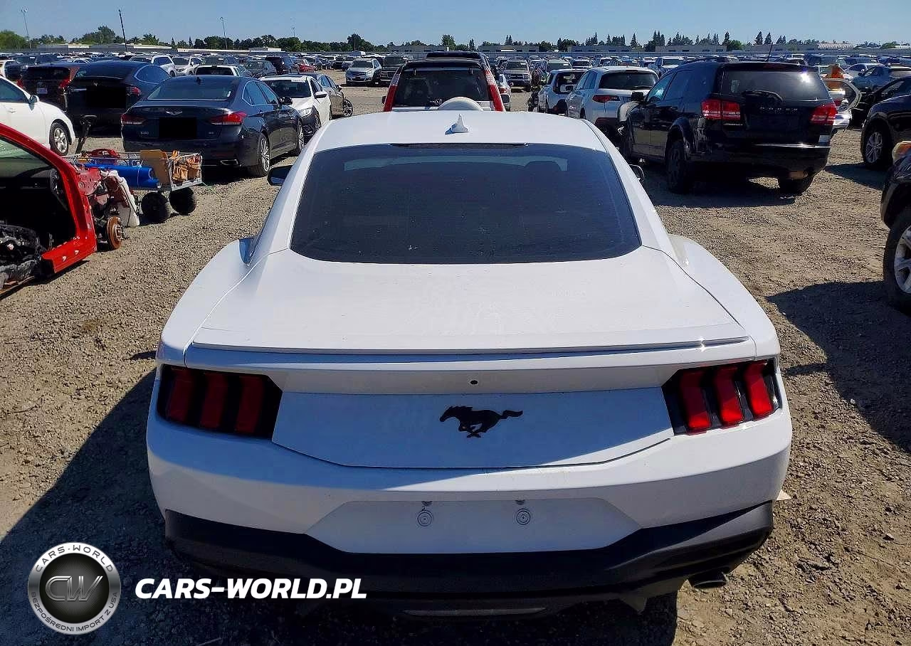 2025 Ford Mustang VIN:1FA6P8TH9S5109428 - 6