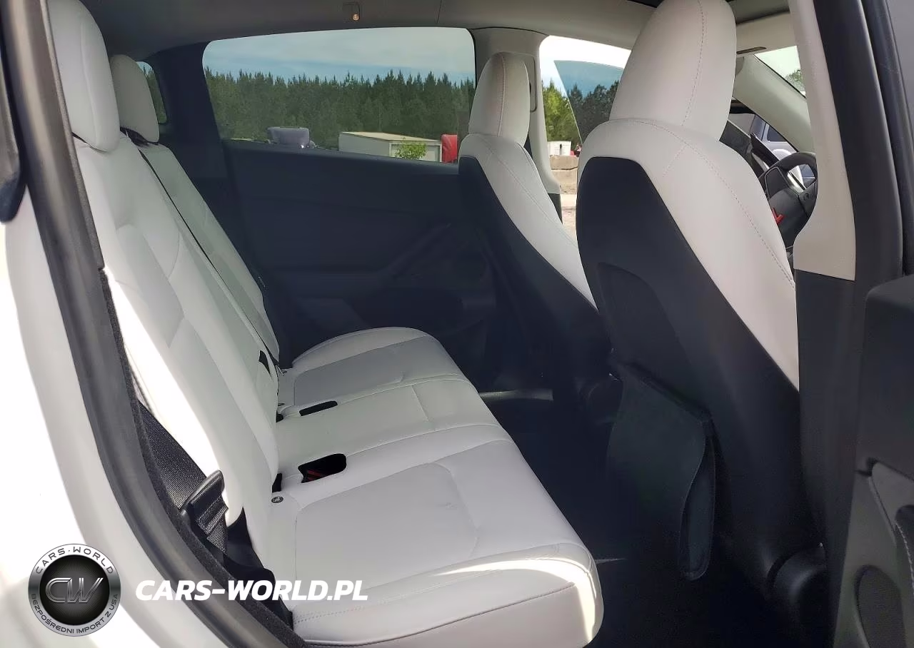 2023 Tesla Model Y VIN:7SAYGDEF6PF832900 - 10