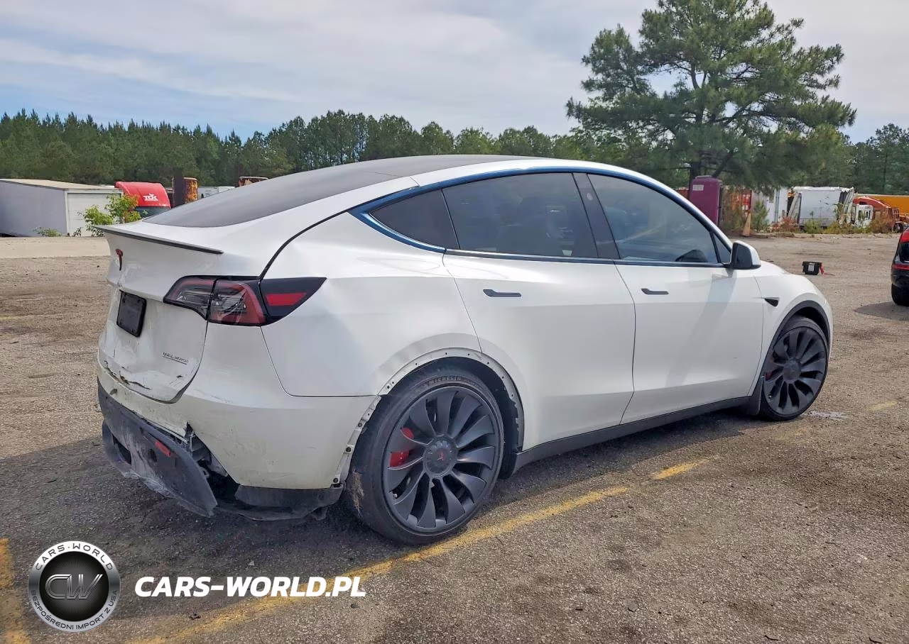 2023 Tesla Model Y VIN:7SAYGDEF6PF832900 - 3