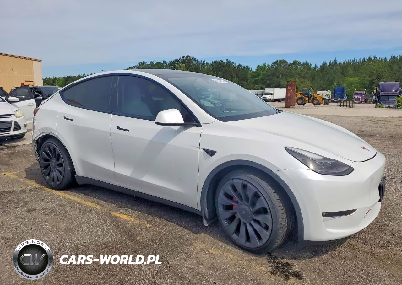 2023 Tesla Model Y VIN:7SAYGDEF6PF832900 - 4