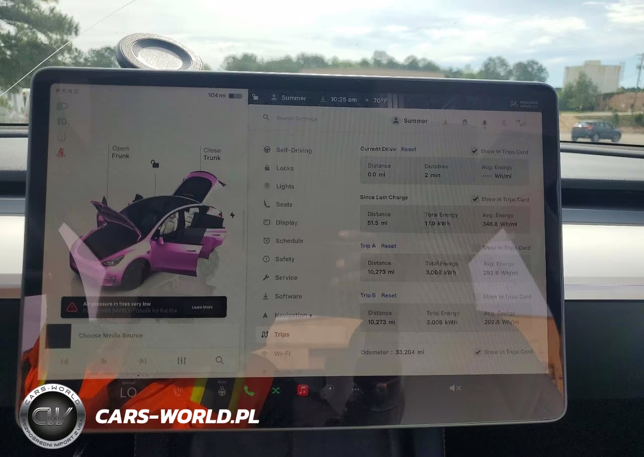 2023 Tesla Model Y VIN:7SAYGDEF6PF832900 - 9