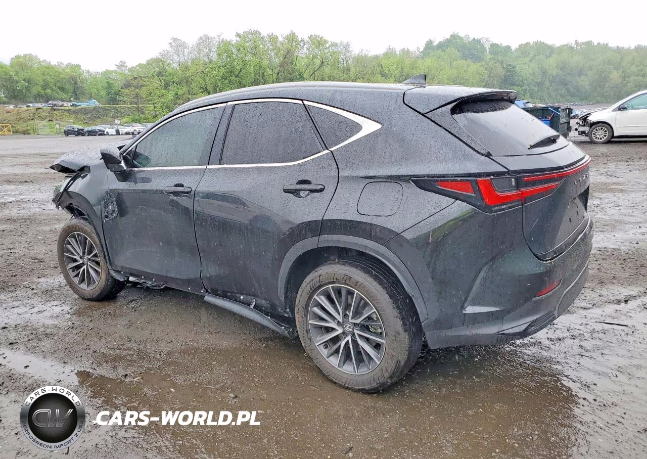 2025 Lexus Nx 350 Premium VIN:2T2GGCEZ3SC060538 - 2