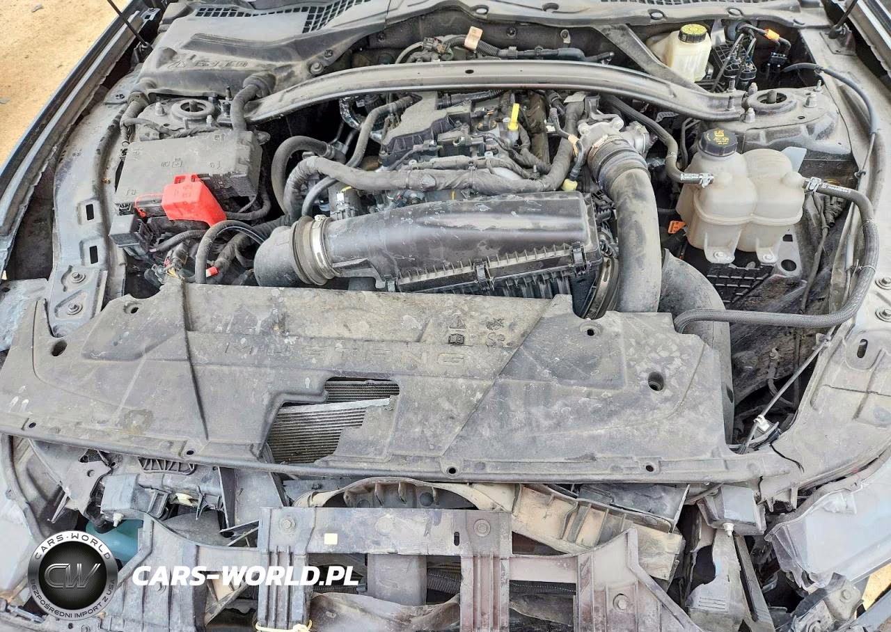 2024 Ford Mustang VIN:1FA6P8TH3R5104817 - 11