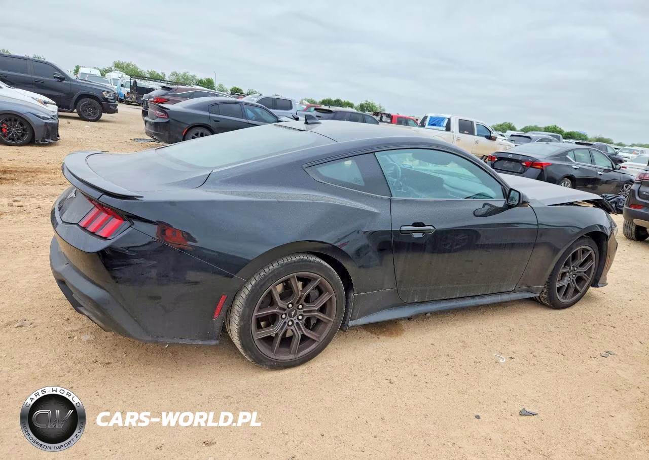 2024 Ford Mustang VIN:1FA6P8TH3R5104817 - 3