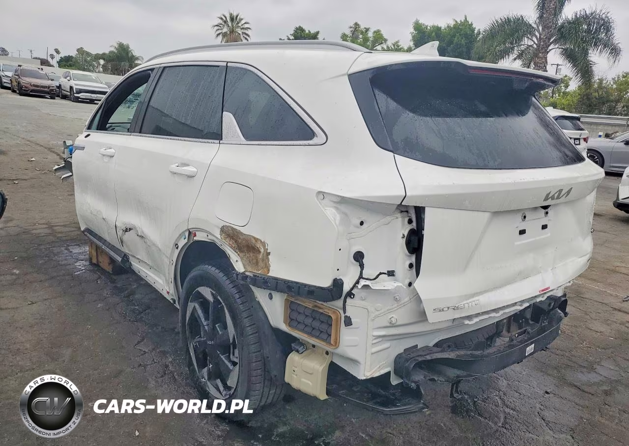 2025 Kia Sorento Sx Prestige VIN:KNDRMDJH0S5379904 - 2