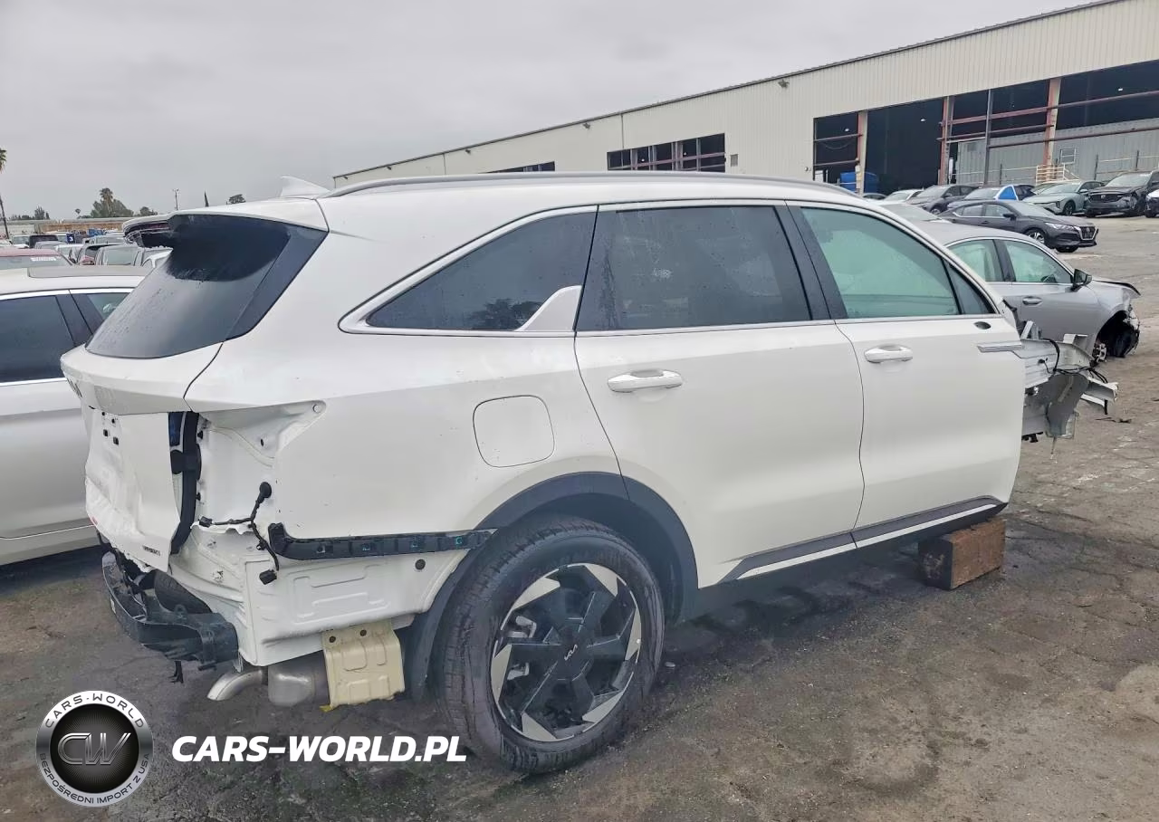 2025 Kia Sorento Sx Prestige VIN:KNDRMDJH0S5379904 - 3