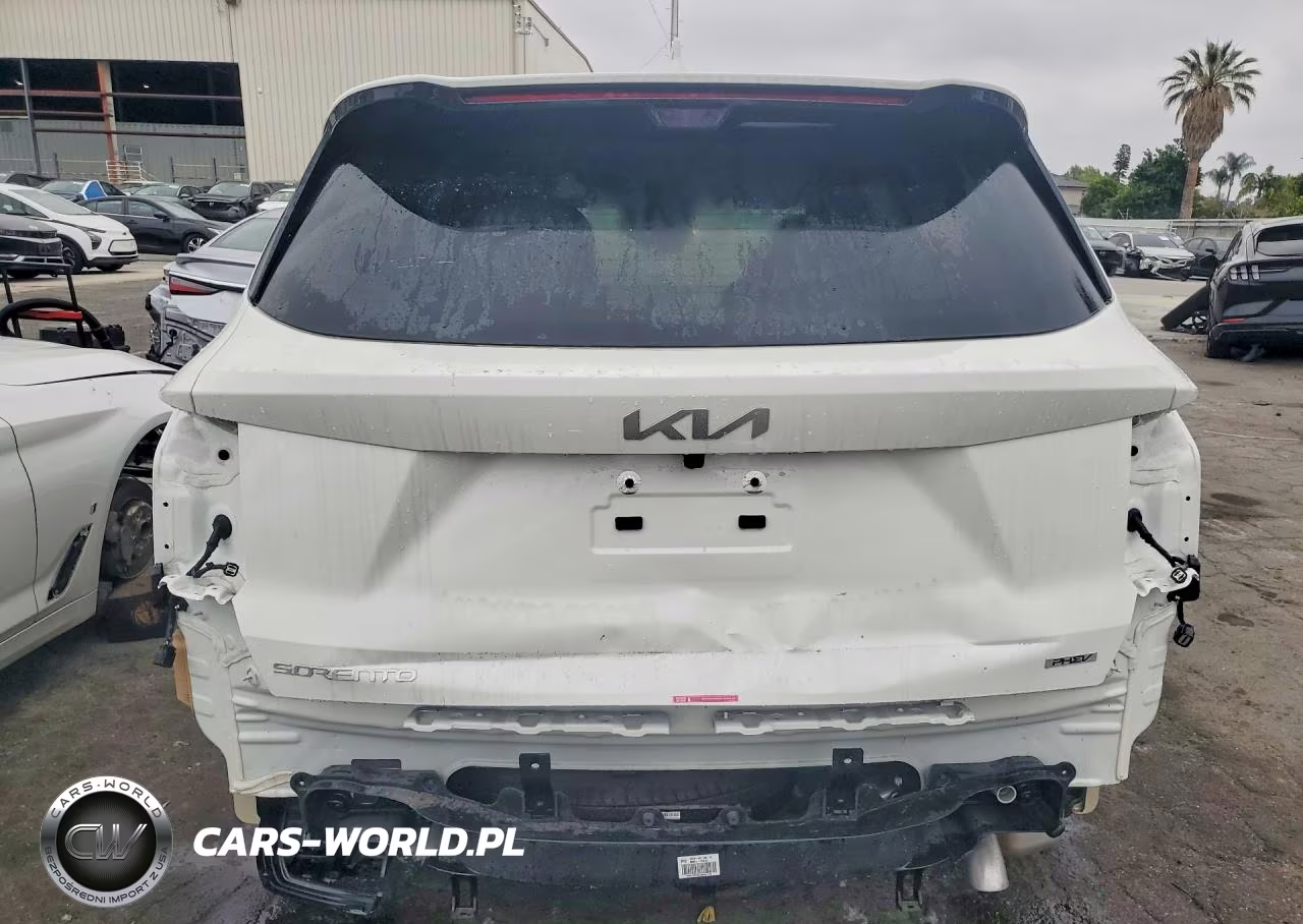 2025 Kia Sorento Sx Prestige VIN:KNDRMDJH0S5379904 - 6