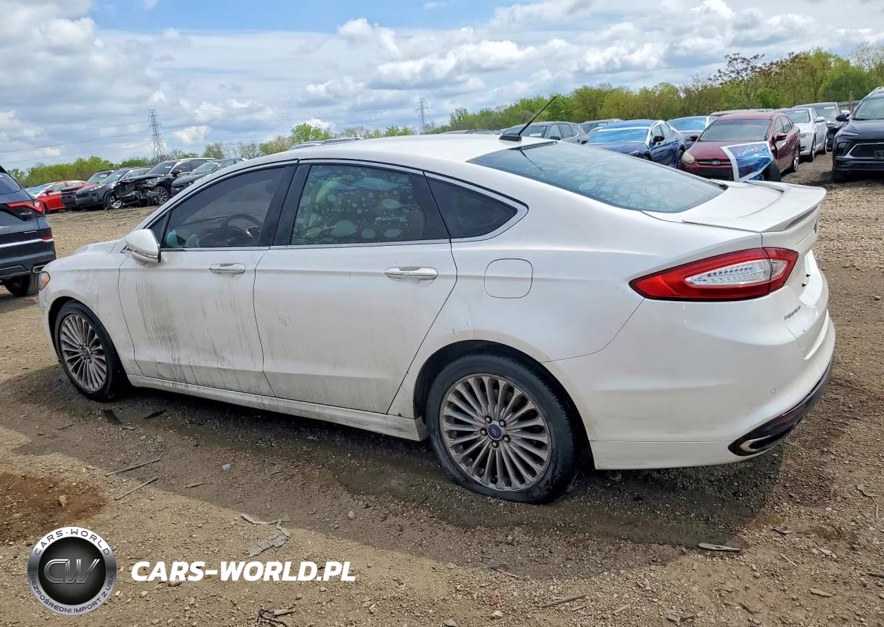 2014 Ford Fusion Titanium VIN:3FA6P0K90ER119391 - 2