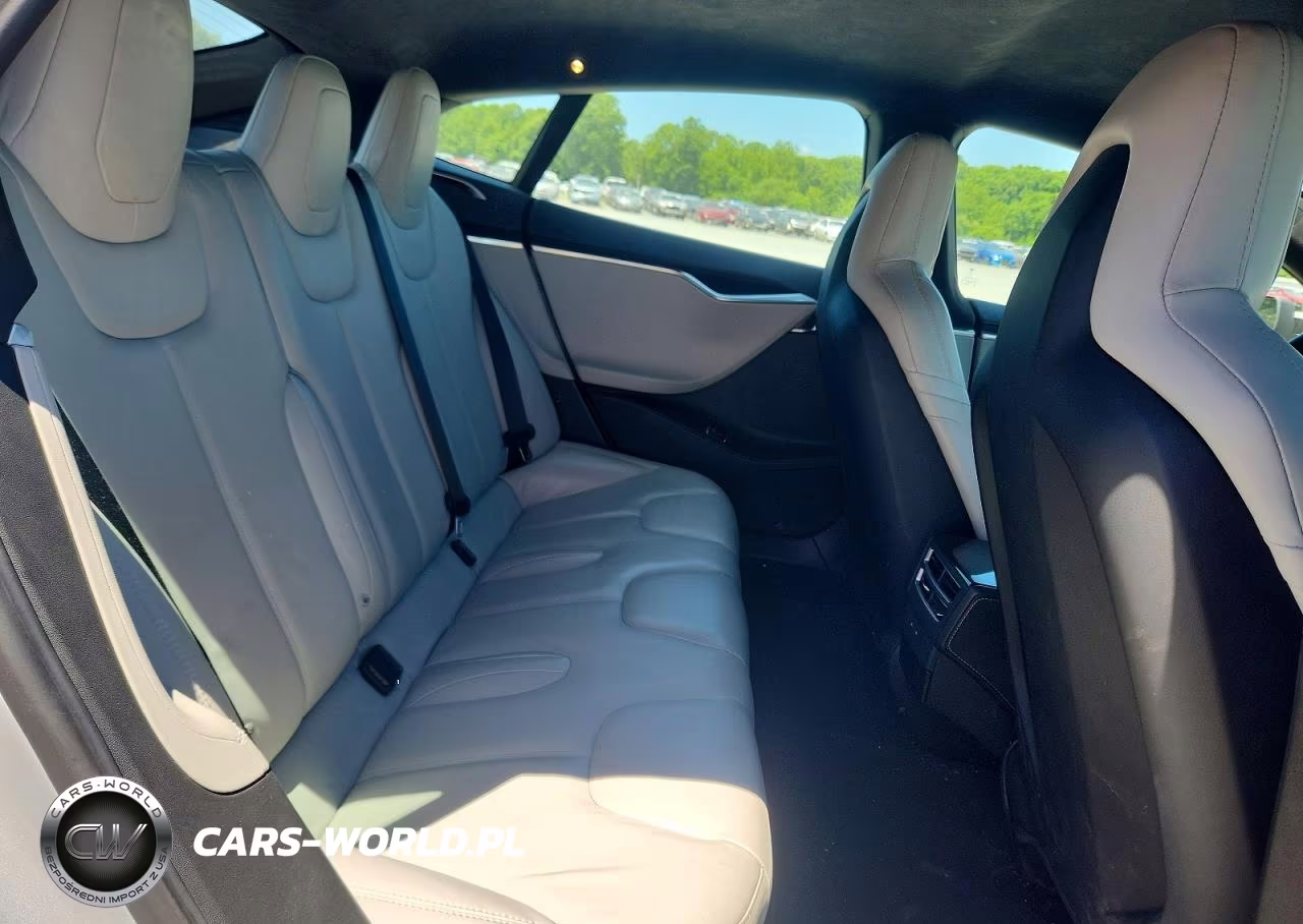 2016 Tesla Model S VIN:5YJSA1E15GF175224 - 10