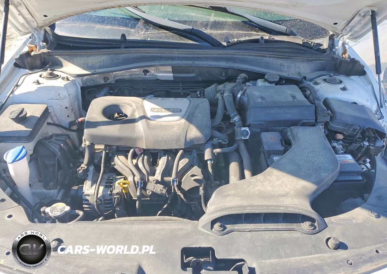 2019 Kia Optima Ex VIN:5XXGU4L11KG344842 - 11