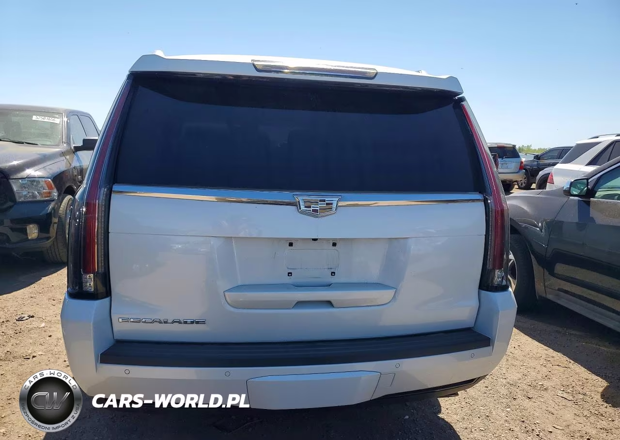 2016 Cadillac Escalade Esv Platinum VIN:1GYS4KKJ5GR300566 - 6
