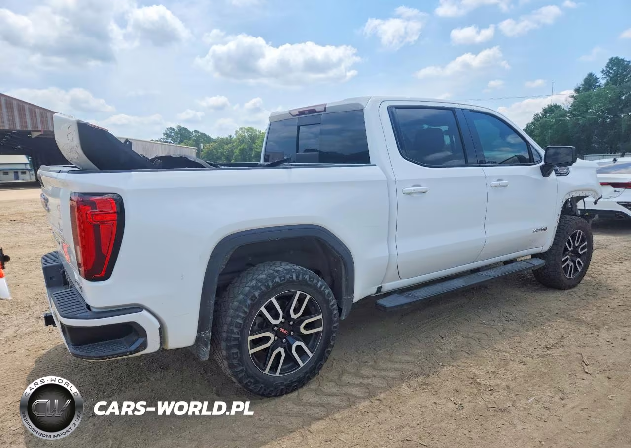 2019 GMC Sierra K1500 At4 VIN:3GTP9EEL3KG295257 - 3