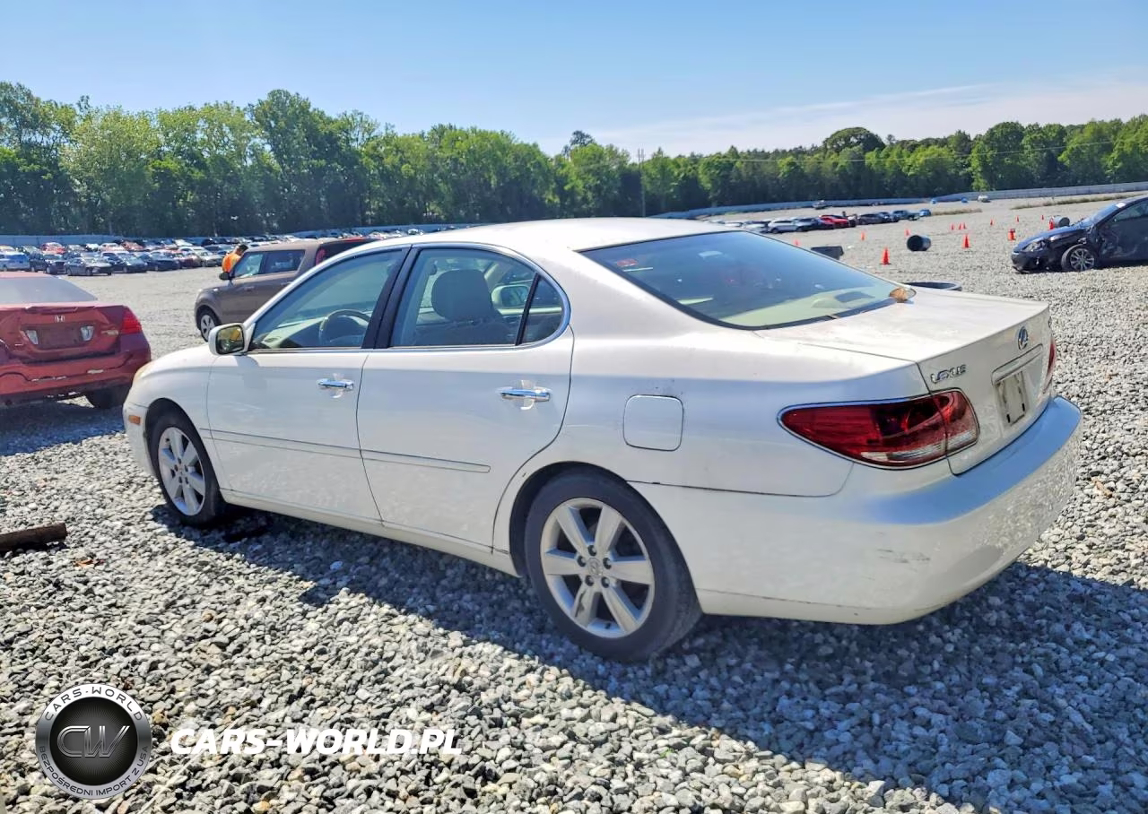 2005 Lexus Es 330 VIN:JTHBA30G255137664 - 2