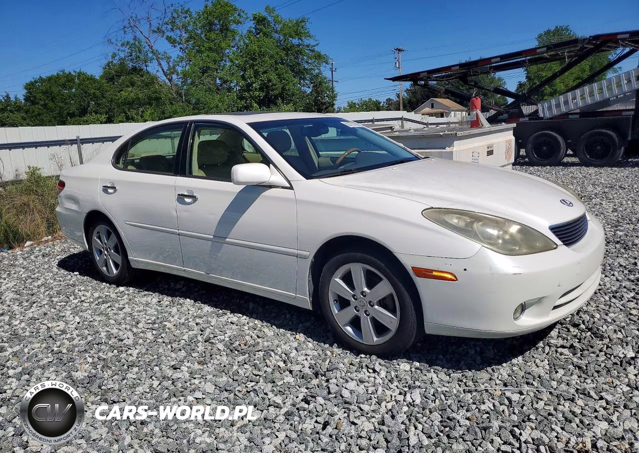 2005 Lexus Es 330 VIN:JTHBA30G255137664 - 4