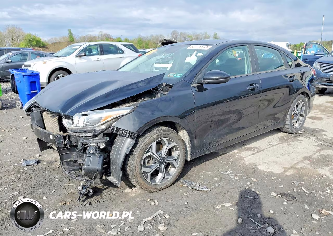 2019 Kia Forte Lxs