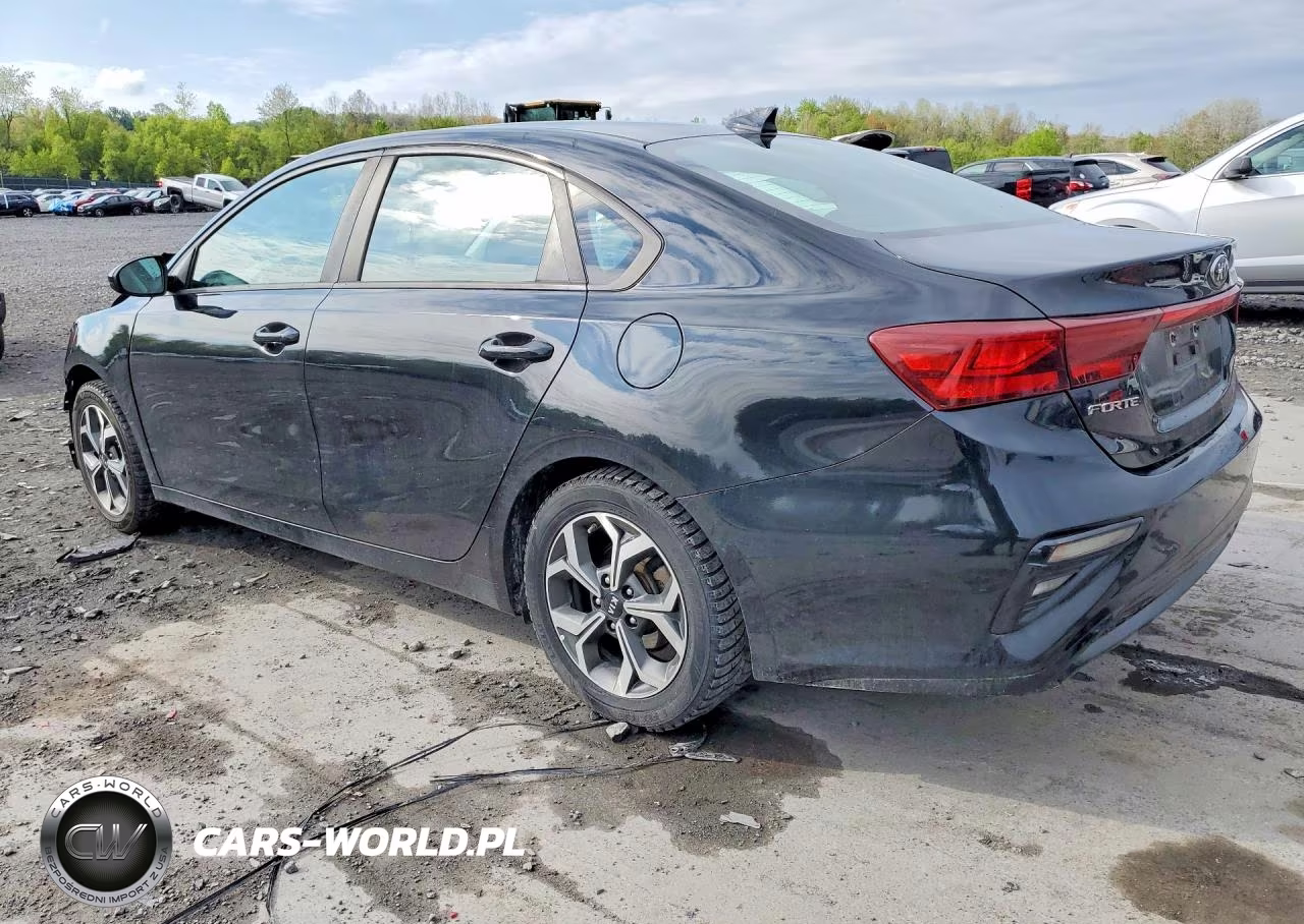 2019 Kia Forte Lxs VIN:3KPF24AD2KE025201 - 2