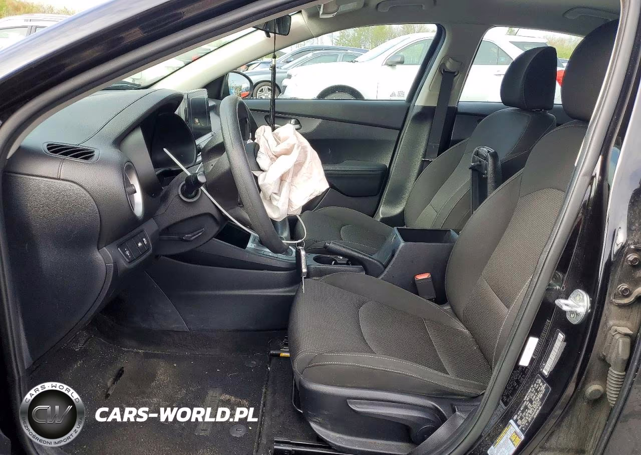 2019 Kia Forte Lxs VIN:3KPF24AD2KE025201 - 7