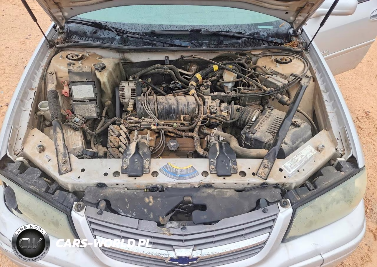 2004 Chevrolet Impala Ls VIN:2G1WH52K649194990 - 11