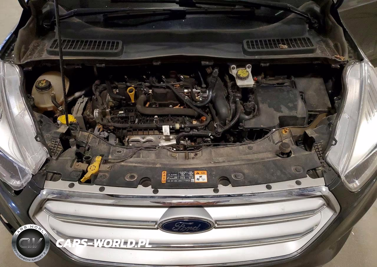 2019 Ford Escape Se VIN:1FMCU9GD0KUB04235 - 12