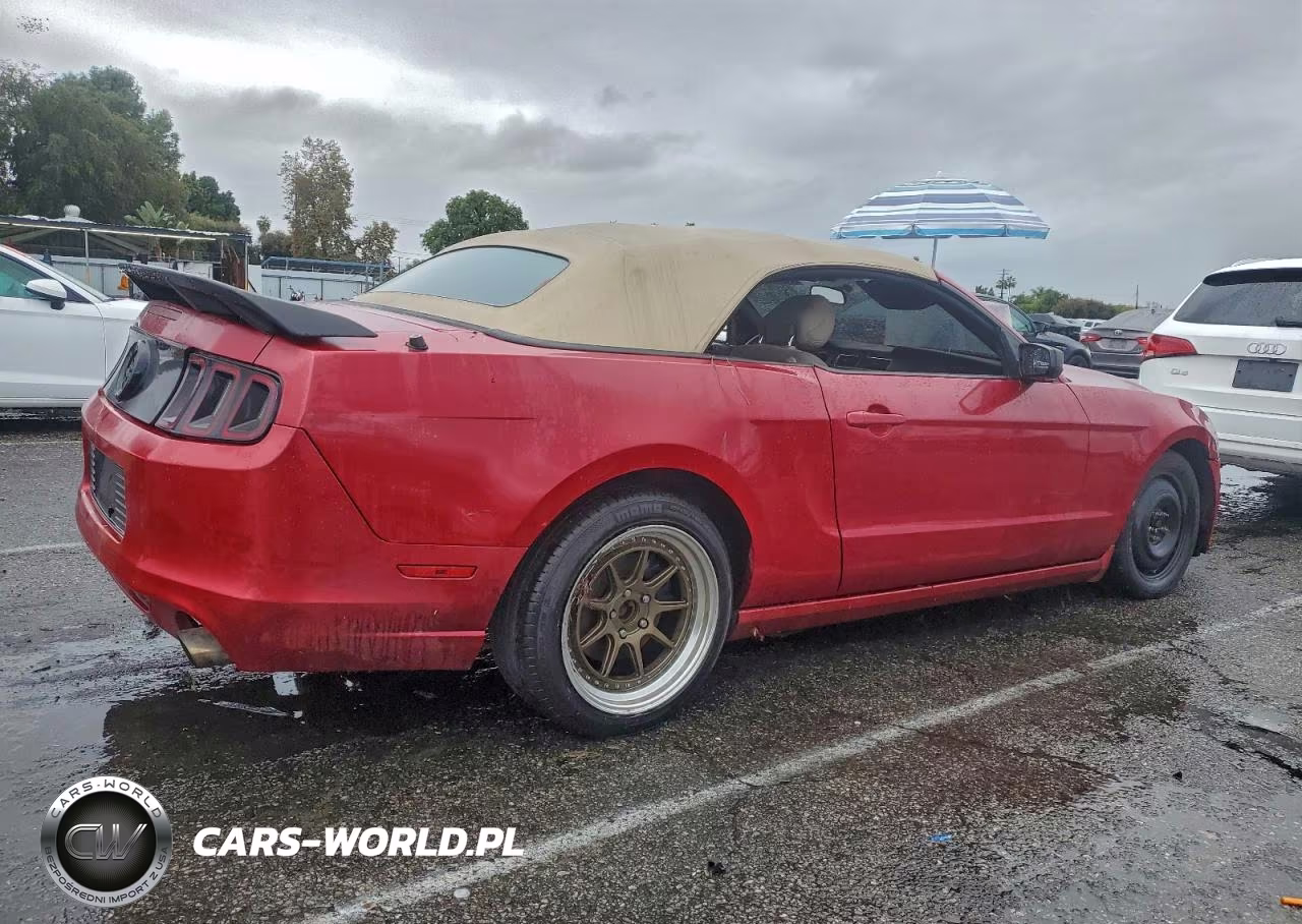 2013 Ford Mustang VIN:1ZVBP8EM8D5204050 - 3