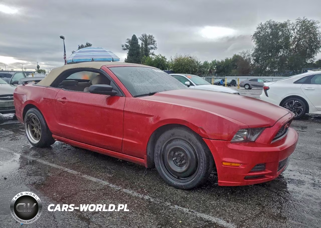 2013 Ford Mustang VIN:1ZVBP8EM8D5204050 - 4