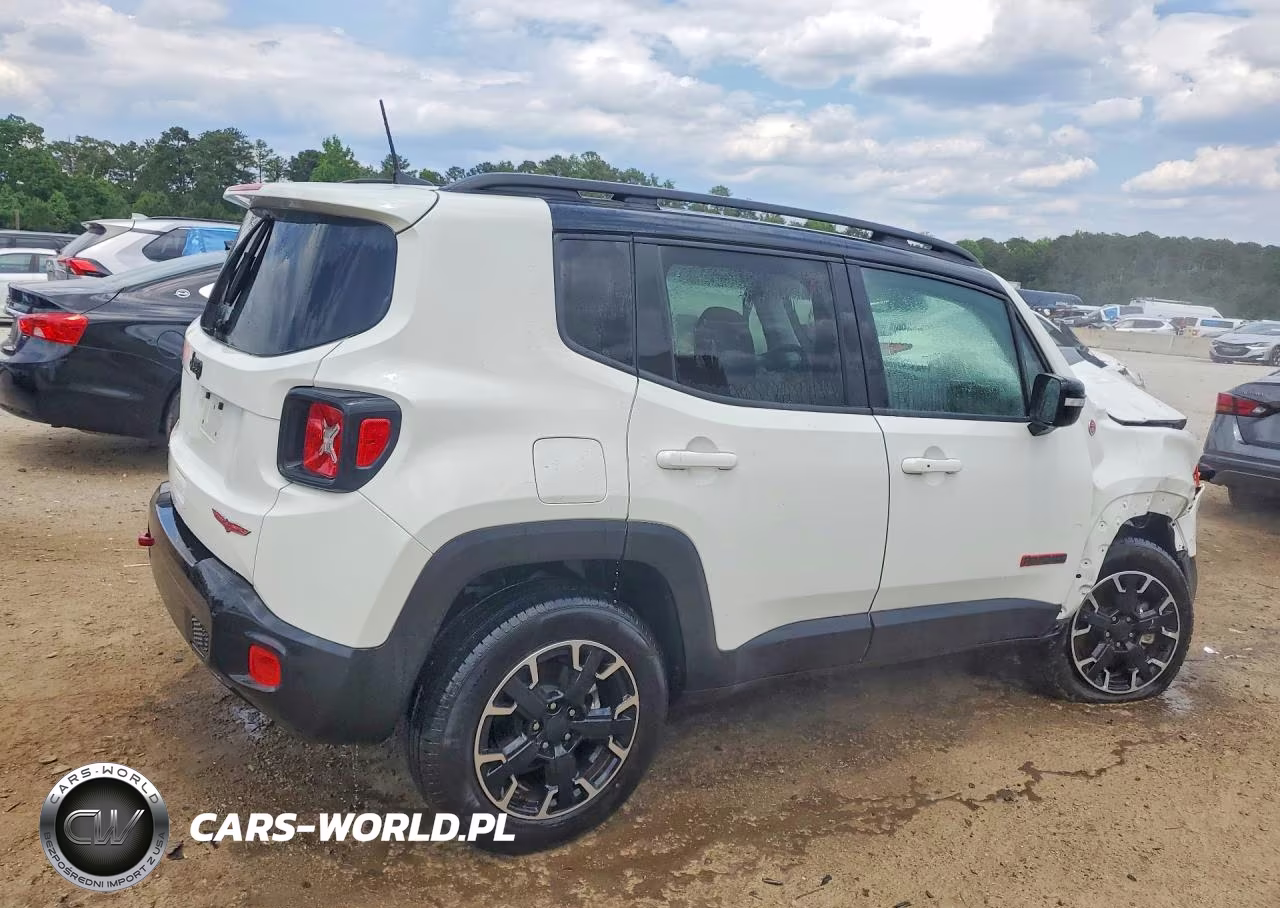 2023 Jeep Renegade Trailhawk VIN:ZACNJDC13PPP71486 - 3