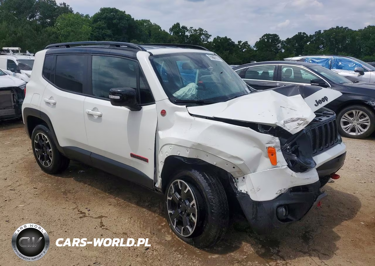 2023 Jeep Renegade Trailhawk VIN:ZACNJDC13PPP71486 - 4